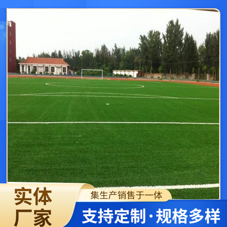 晋中市塑胶跑道材料人造草坪 - 排名
